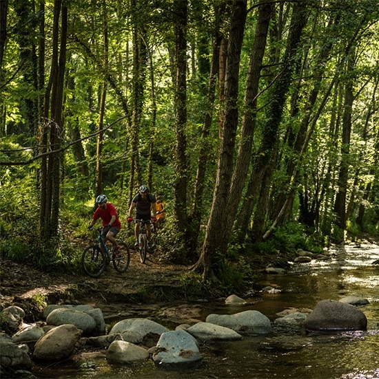 bosc+riu+bicis_550