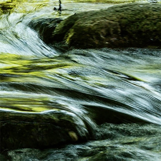 composicion_unica_550
